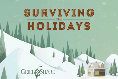 WEB Surviving Holidays GS 800x533