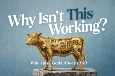 Why Isnt This Working Web Thumb 800x533